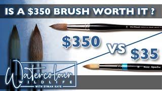Is it worth it ? $350 Watercolour Brush vs $35 Watercolor Brush
