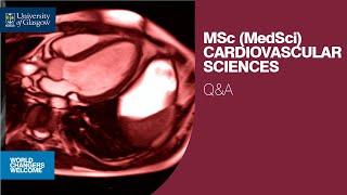 MSc (MedSci) Cardiovascular Sciences Q&A - University of Glasgow