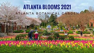 Atlanta Blooms 2021 | Atlanta Botanical Garden