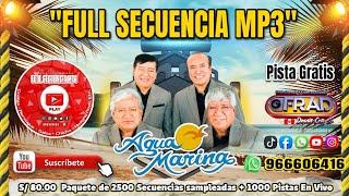 PASITOS PARA BAILAR // AGUA MARINA / PISTA  SECUENCIA GRATIS