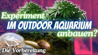EXPERIMENT Cannabis im Aquarium anbauen? Samen keimen & anziehen
