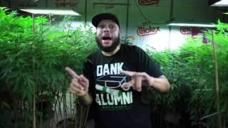 Potluck - Smokin' Good feat. IRV DA PHENOM! (Official Music Video)