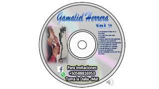 Gamaliel Herrera _ vuélveme el gozo