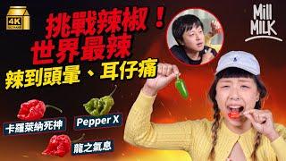 #MM｜挑戰世界最強辣椒Pepper X、卡羅萊納死神！食辣=練功夫 唔練會退步？食太辣連「菊花」都會痛？醫生解構宇多田光「食辣椒減肥法」成效｜#Weekly_pedia #4K