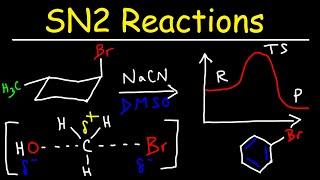 SN2 Reaction Mechanisms