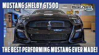 Shelby GT500 Overview