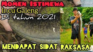 Mengenang momen istimewa Incu Galeng di tahun 2021, mendapat rekor ikan sidat terbesar