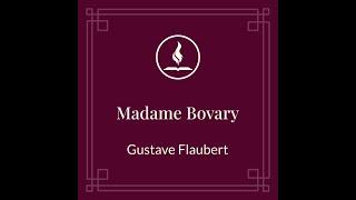 Madame Bovary : Part 2 Chapter VI-X