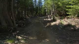Snoqualmie Bike Park - Upper Green Party