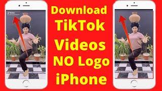 How to Download TikTok Video Without Watermark in iPhone | 2022