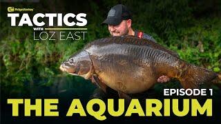 Catching Old French Carp | Tactics With Loz East | S1 E1 | The Aquarium