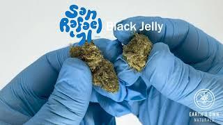 San Rafael '71 - Black Jelly