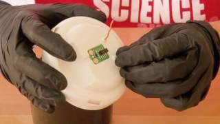How To Set Up a Microbial Fuel Cell | Science Project
