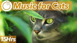15 HOURS of AD FREE Relaxing Music for Cats  