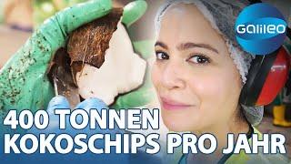 Jetzt wirds exotisch: Claire arbeitet 2 Tage bei der Kokoschips-Produktion! | Galileo | ProSieben