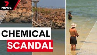 Tower Beach in Botany Bay riddled with harmful chemicals for years | 7NEWS