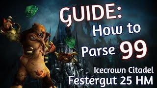Guide: How to Parse 99 Festergut HM. Tips for Boomie & Casters | WotLK ICC P4 Balance Druid