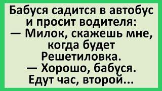 Бабуся садится в автобус дальнего следования...Забавные анекдоты обо всем на свете