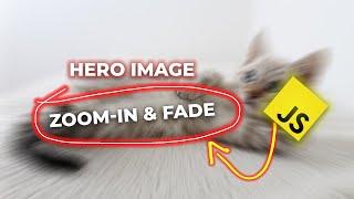 Hero Image Zoom-In and Fade Using Javascipt | Javascript Hero Image Zoom-in and Fade Effects