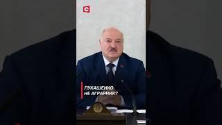 Лукашенко: У меня душа крестьянская! #лукашенко #новости #политика #беларусь #президент