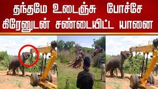 உடைந்து சிதறிய தந்தம் ! - பரபரப்பு காட்சிகள் - கடைசிவரை போராடிய காட்டு யானை | Elephant |