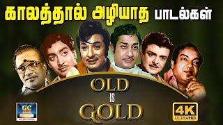 காலத்தால் அழியாத பழைய பாடல்கள் | 60s Old is Gold | MGR | Sivaji | Kannadhasan - TMS | HD.