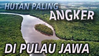 Alas Purwo Banyuwangi | history of Java Info Nusa | The Most Haunted Forest in Java alas purwo