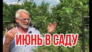 Садовые работы в июне (перезалив) / Игорь Билевич
