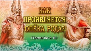 Как проявляется опёка Рода? - Ведаманъ Ведагоръ(Трехлебов)