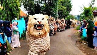 Asmr lion dance and drumband parade in the village of wonosuko