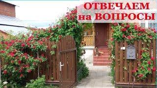 САМЫЕ частые ВОПРОСЫ от зрителей - ОТВЕЧАЕМ!