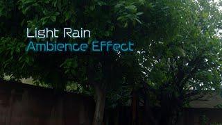 Light Rain 2 Back yard Sound Effect in ((STEREO))