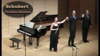 Schubert "Trockne Blumen" & variations