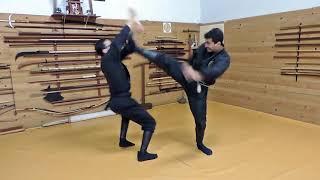 Taijutsu Bujinkan Dojo - Técnicas básicas de chutes