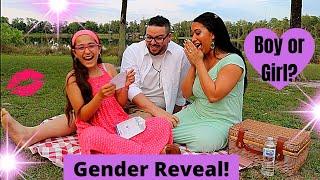 OUR GENDER REVEAL! | Queen Vii