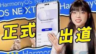 這是HarmonyOS NEXT，現在起正式進駐操作系統了！華為鴻蒙NEXT系統上手體驗｜大狸子切切裡