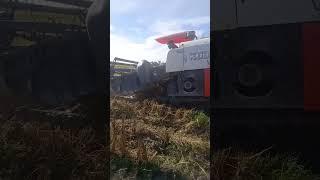 #shorts #shortsvideo #combine #combineharvester #mesinpotongpadi #mesinpanenpadimodern #kubota