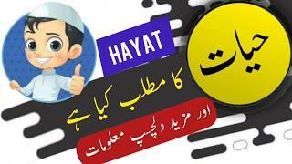 Hayat name meaning in urdu and lucky number | Islamic Boy Girl Name | Ali Bhai