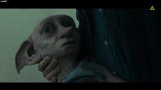 Dobby's death and funeral [Harry Potter: The Deathly Hallows 1]