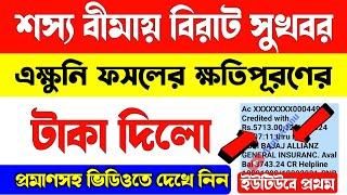 শস্য বীমার টাকা দিলো/ফসলের ক্ষতিপূরণের টাকা দিলো/Bangla Shasya Bima Payment Transfer/Shasya Bima2024