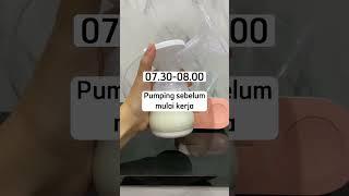 Tips Jadwal Pumping Untuk Working Moms | Trik Pumping saat kerja