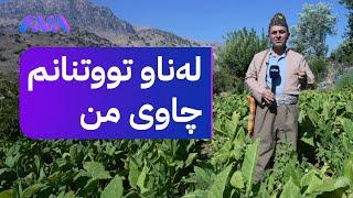 بەزمە خۆشەکانی ڕەسووکە لەگەڵ خزمانی گوندی بەردانگە