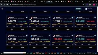 How to Design a Forex and  Staking Broker Website with Win and Loss Management