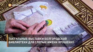 Тактильные выставки белгородской библиотеки для слепых имени Ярошенко