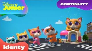 Disney Junior CEE (Polish) - Continuity (May 28th, 2023)