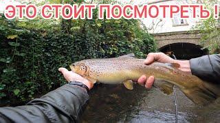 Нептун благословил мою рыбалку! Малые реки Европы, часть 2!#fishing #angeln #рыбалка2023