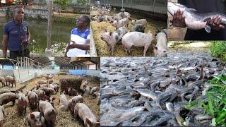 THE YOUNGEST PIG FARMER IN GHANA: LEONARD NANA OMARI - CEO OF EDEN TUROM FARMS & A MEMBER OF CoP