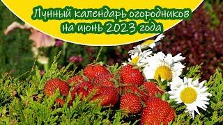 Лунный календарь садовода-огородника на июнь 2023 года