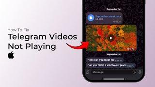 How to Fix Telegram Videos not playing on iPhone?