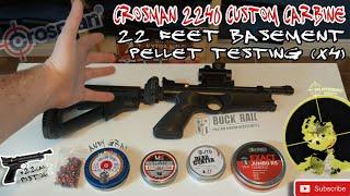 Crosman 2240 custom carbine // Testing 4 different kinds of pellet in the basement (22 feet) Pt.1